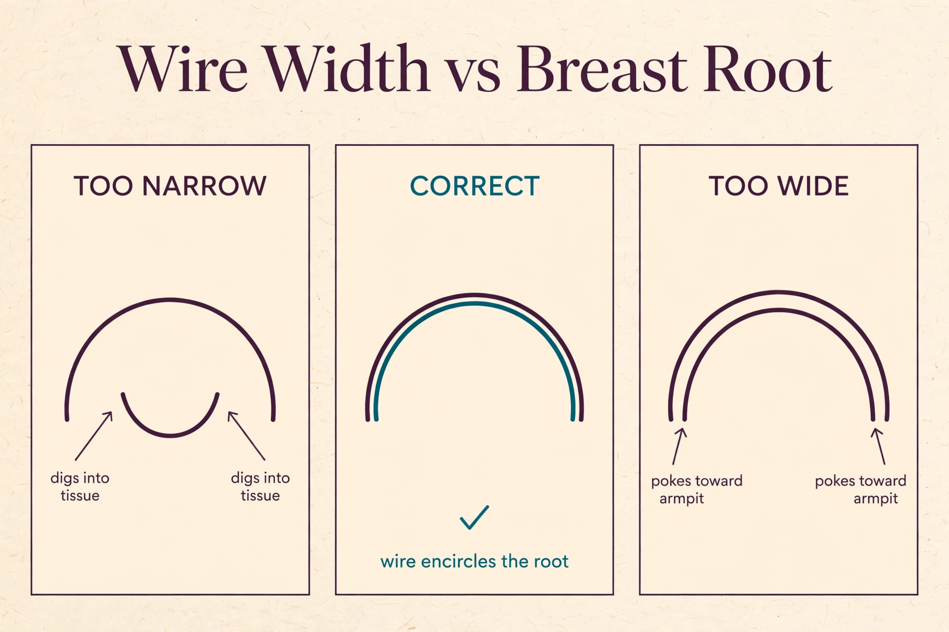 Diagram showing underwire width versus breast root width: too narrow wire digging into tissue, correct wire encircling the root, and too wide wire poking toward the armpit.