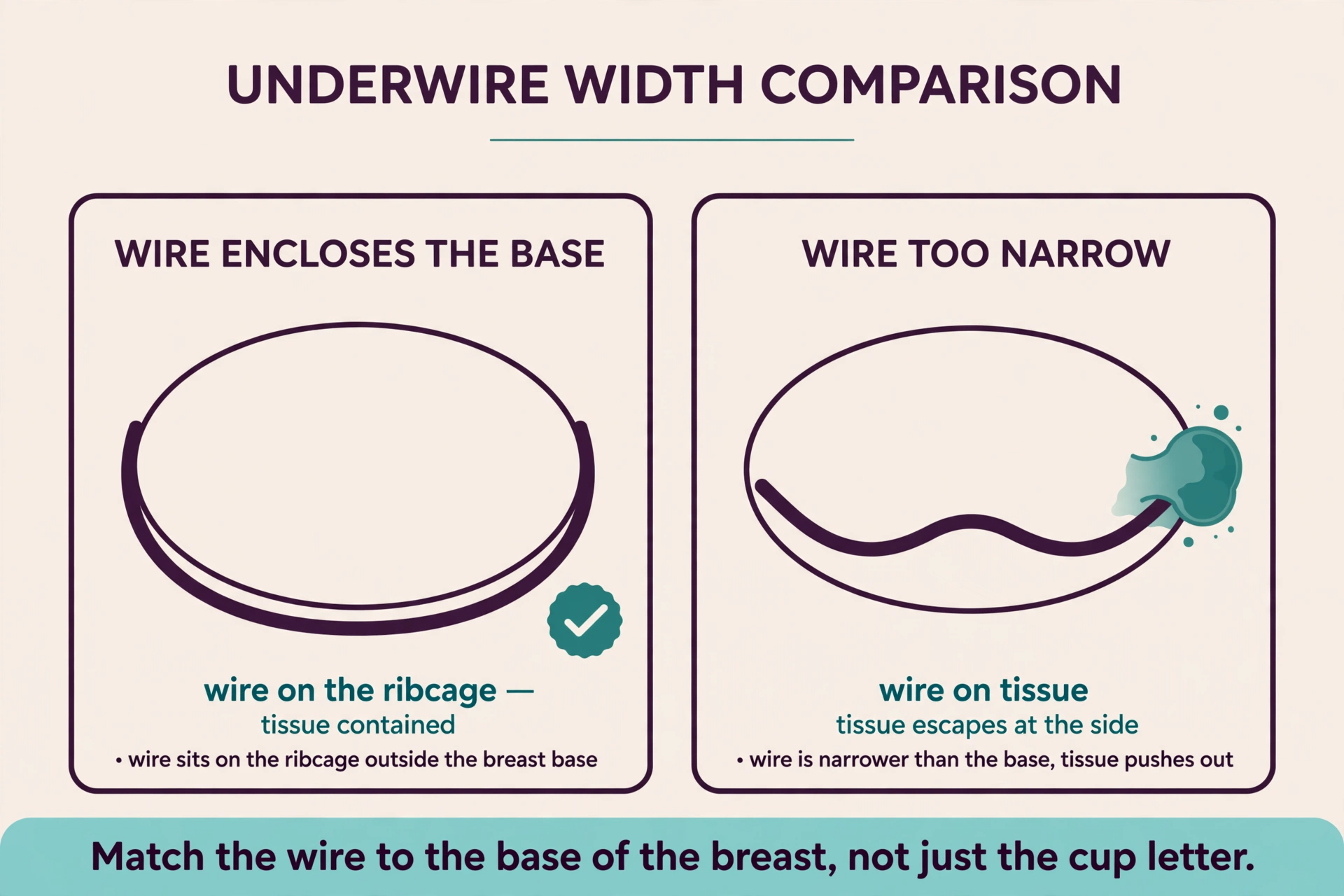 Diagram comparing an underwire that encloses the base of the breast on the ribcage with a too-narrow wire sitting on tissue and letting tissue escape at the side.